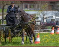 2POSIEUX 0172